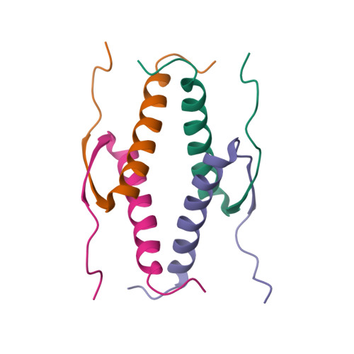 Rcsb Pdb Olh High Resolution Solution Structure Of The Oligomerization Domain Of P By