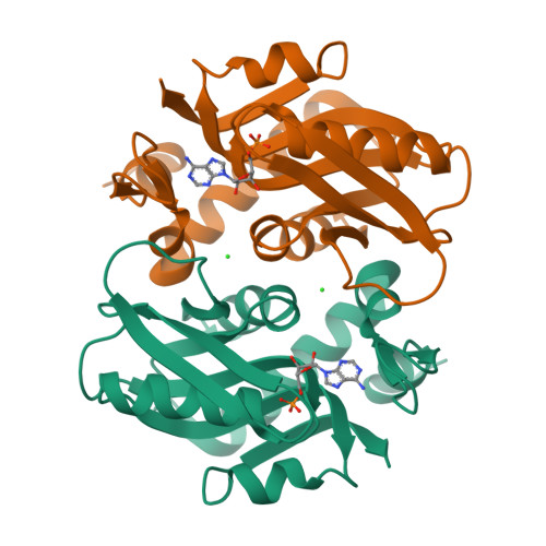 PDB 1ORE