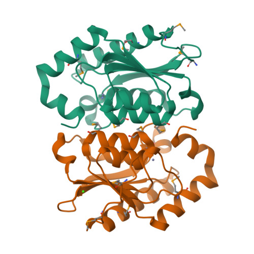 RCSB PDB - 1OX7: Crystal structure of yeast cytosine deaminase apo