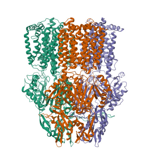 RCSB PDB 1OY9 Structural Basis Of Multiple Drug Binding Capacity Of The AcrB Multidrug Efflux