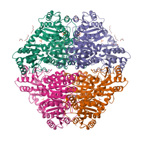 Rcsb Pdb 1ozg The Crystal Structure Of Klebsiella Pneumoniae Acetolactate Synthase With 7968