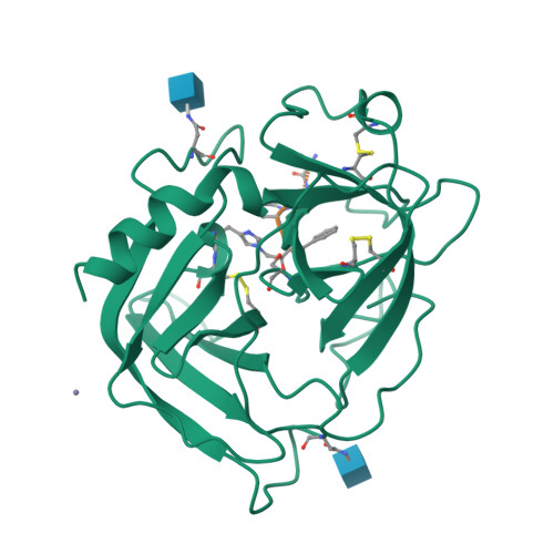 RCSB PDB - 1PJP: THE 2.2 A CRYSTAL STRUCTURE OF HUMAN CHYMASE IN ...