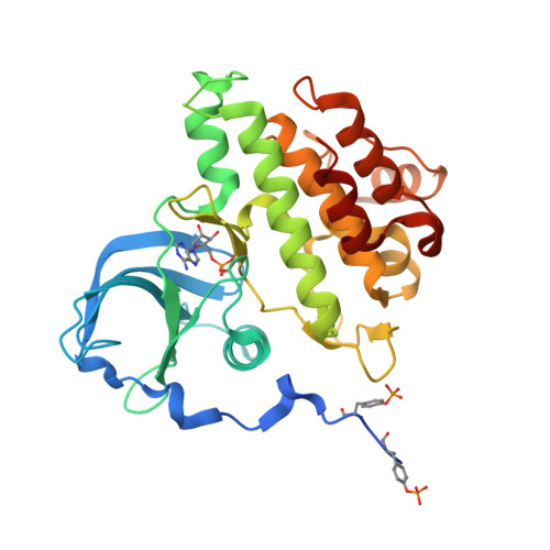 RCSB PDB - 1PKG: Structure of a c-Kit Kinase Product Complex