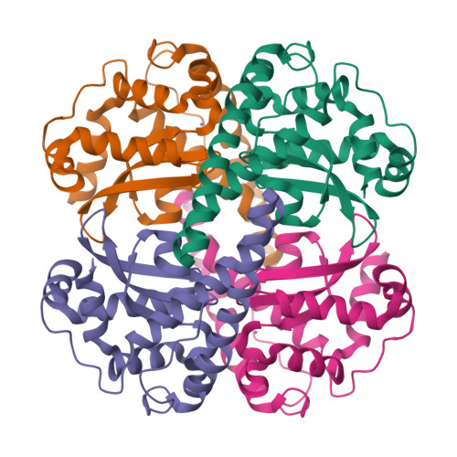 Rcsb Pdb Pm Crystal Structure Of Human Mnsod H N Y F Mutant