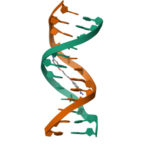 RCSB PDB - 1PRP: CRYSTAL STRUCTURE OF D(CGCGAATTCGCG) COMPLEXED WITH ...