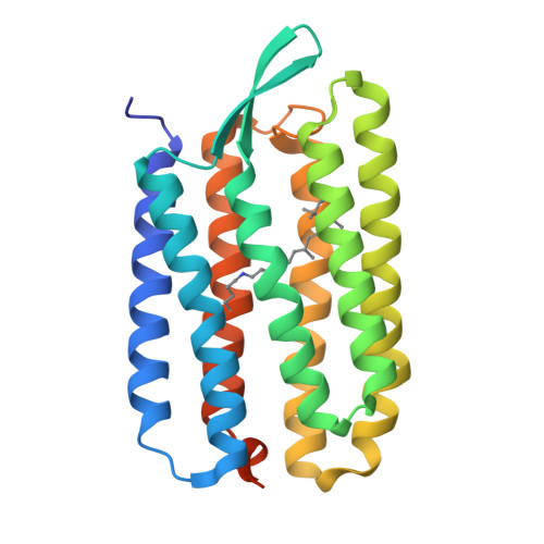 Rcsb Pdb - 1py6: Bacteriorhodopsin Crystallized From Bicells