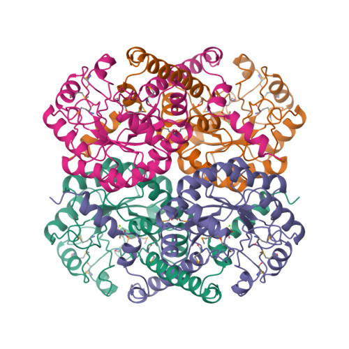 phosphoenolpyruvate structure