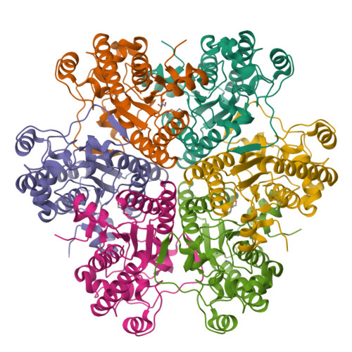 RCSB PDB 1Q3K Crystal structure of creatinine amidohydrolase