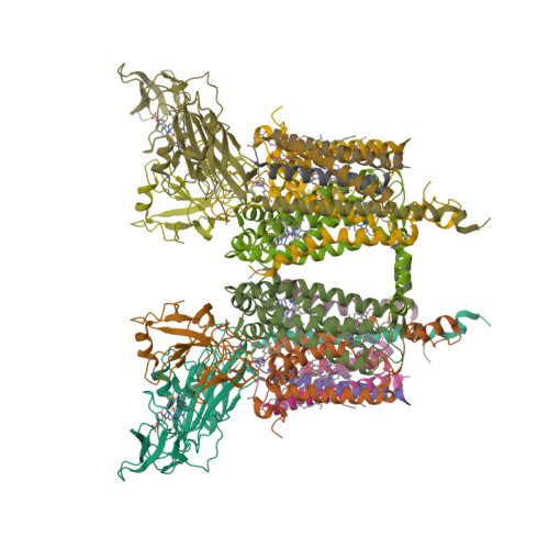 PICOT-D Component Structure