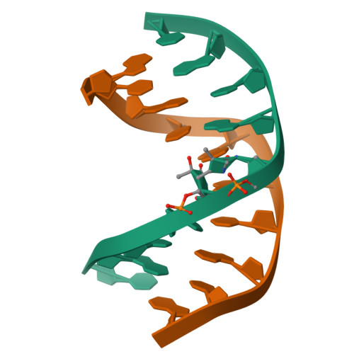 RCSB PDB - 1QKG: DNA DECAMER DUPLEX CONTAINING T-T DEWAR PHOTOPRODUCT