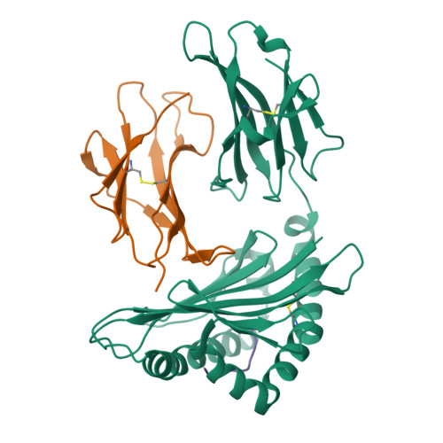 RCSB PDB - 1QQD: CRYSTAL STRUCTURE OF HLA-CW4, A LIGAND FOR