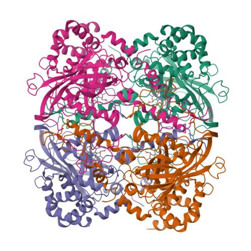 RCSB PDB - 1QQW: CRYSTAL STRUCTURE OF HUMAN ERYTHROCYTE CATALASE