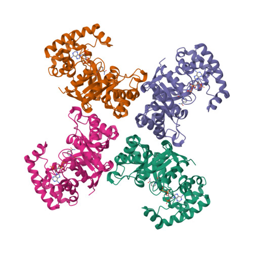 RCSB PDB - 1QRQ: STRUCTURE OF A VOLTAGE-DEPENDENT K+ CHANNEL BETA 