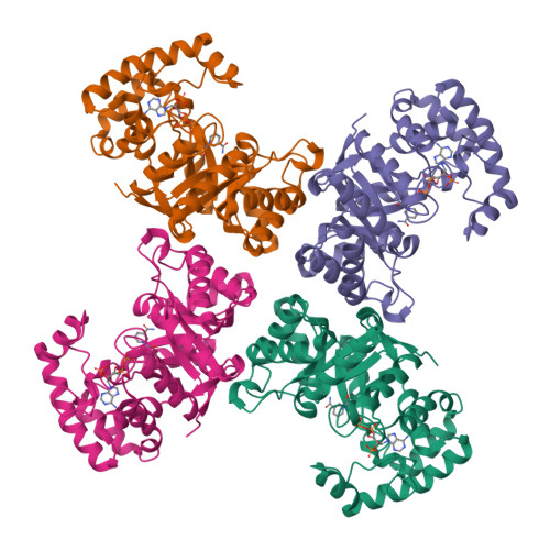 RCSB PDB - 1QRQ: STRUCTURE OF A VOLTAGE-DEPENDENT K+ CHANNEL BETA 