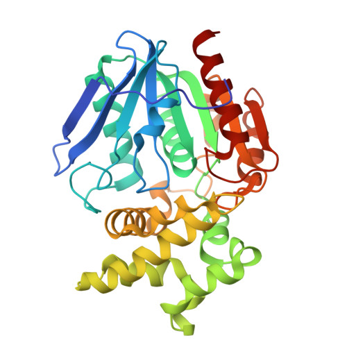 Proline iminopeptidase structure