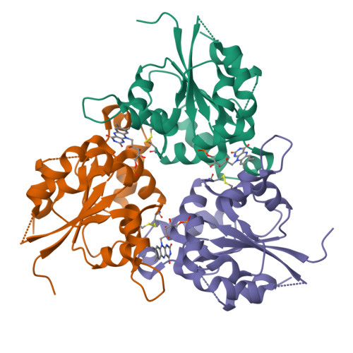 Rcsb Pdb Qzu Crystal Structure Of Human Phosphopantothenoylcysteine