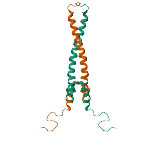 RCSB PDB - 1R05: Solution Structure Of Max B-HLH-LZ