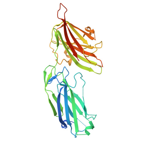 Rcsb Pdb R Crystal Structure Analysis Of S Epidermidis Adhesin Sdrg Binding To Fibrinogen