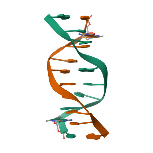 RCSB PDB - 1R4D: Solution structure of the chimeric L/D DNA ...