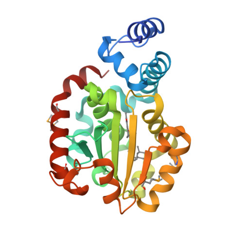 RCSB PDB - 1R5L: Crystal Structure of Human Alpha-Tocopherol Transfer ...