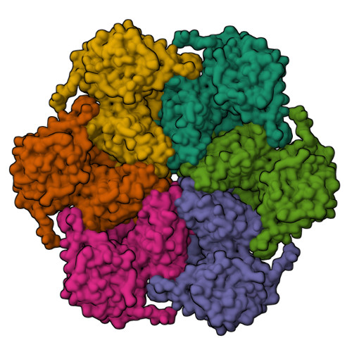 Rcsb Pdb R R The Crystal Structure Of Murine P Vcp At A