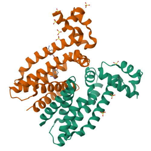 RCSB PDB - 1RKW: CRYSTAL STRUCTURE OF THE MULTIDRUG BINDING ...