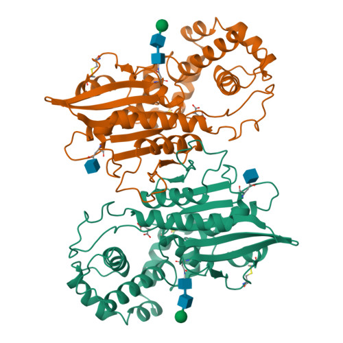 Rcsb Pdb Rpa Three Dimensional Structure Of Rat Acid Phosphatase In Complex With L Tartrate