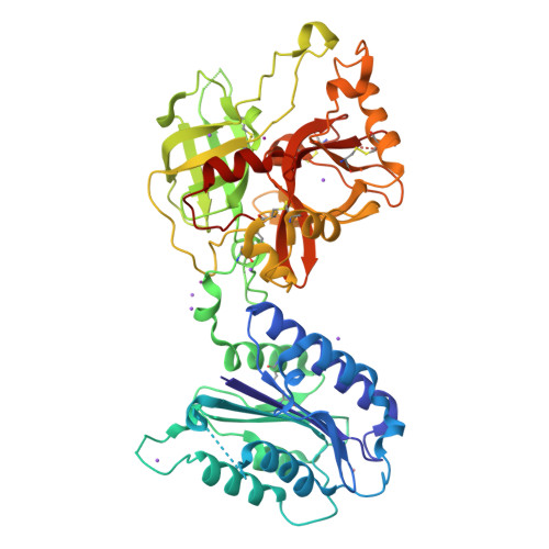 RCSB PDB - 1RRK: Crystal Structure Analysis Of The Bb Segment Of Factor B