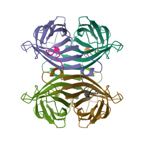 RCSB PDB - 1RST: COMPLEX BETWEEN STREPTAVIDIN AND THE STREP-TAG PEPTIDE