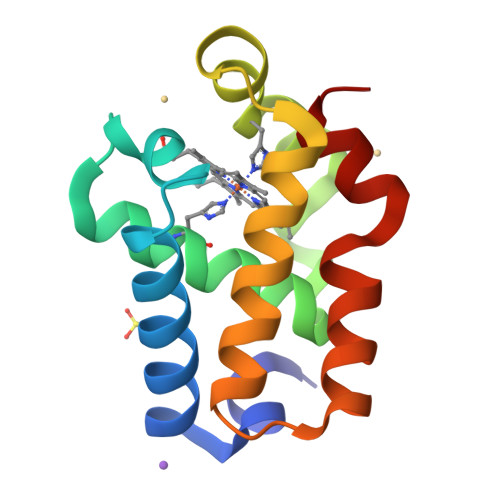 RCSB PDB - 1RTX: Crystal Structure of Synechocystis Hemoglobin with a ...