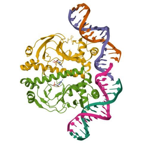RCSB PDB - 1RUO: CATABOLITE GENE ACTIVATOR PROTEIN (CAP) MUTANT/DNA ...