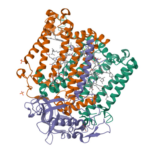 RCSB PDB - 1RY5: PHOTOSYNTHETIC REACTION CENTER MUTANT FROM 