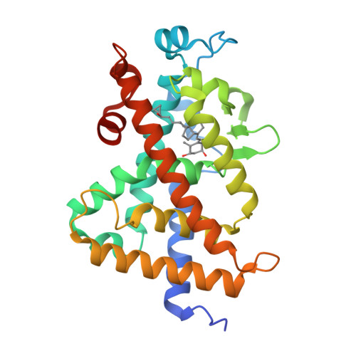 RCSB PDB - 1S19: Crystal structure of VDR ligand binding domain ...