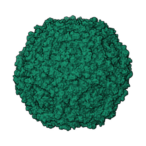 RCSB PDB - 1S58: The structure of B19 parvovirus capsid