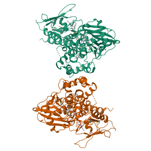 RCSB PDB - 1SEZ: Crystal Structure of Protoporphyrinogen IX Oxidase