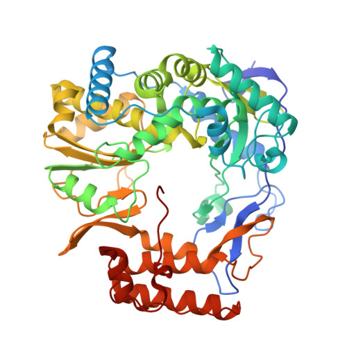 mgso4 crystal structure