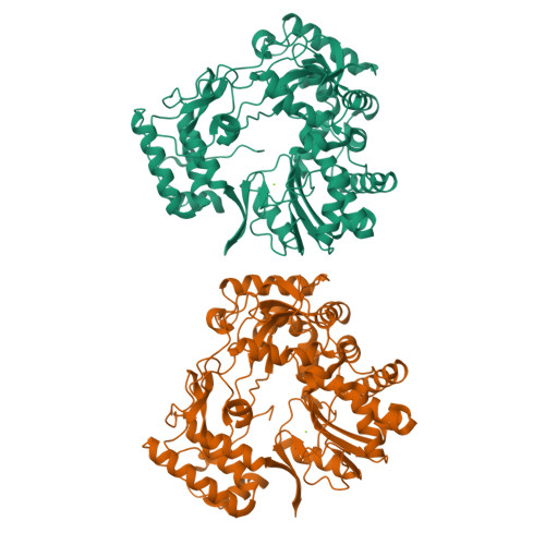 mgso4 crystal structure