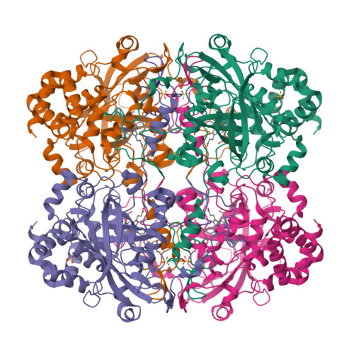 Rcsb Pdb Si Crystal Structure Of E Faecalis Catalase