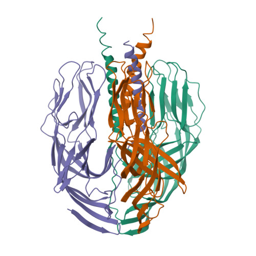 RCSB PDB 1SLQ Crystal structure of the trimeric state of the rhesus