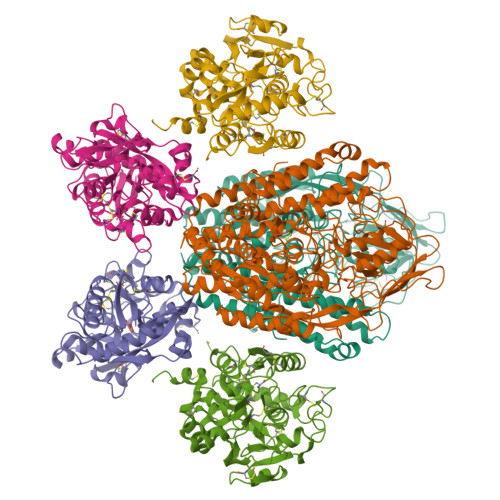 RCSB PDB - 1SUV: Structure Of Human Transferrin Receptor-Transferrin ...