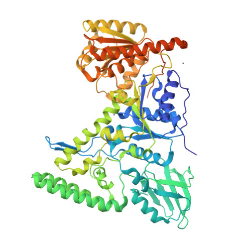 RCSB PDB T L Crystal Structure Of The DNA Repair Protein UvrB Point Mutant Y A Revealing A