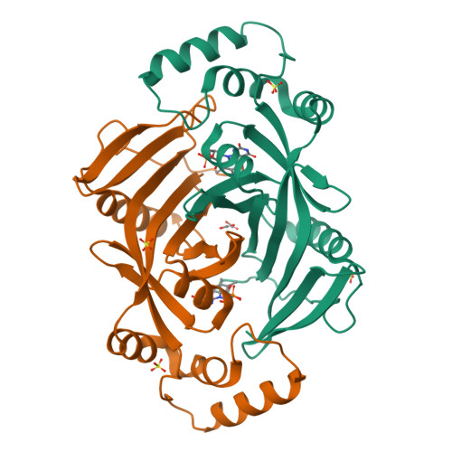 Rcsb Pdb T M X Ray Crystal Structure Of Phzg From Pseudomonas Aeruginosa