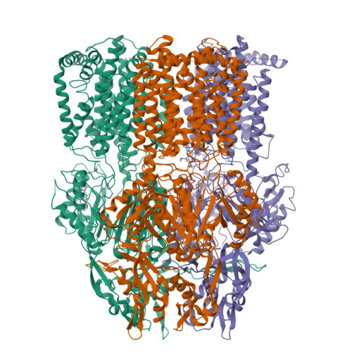 RCSB PDB - 1T9U: Structural Basis of Multidrug Transport by the AcrB ...