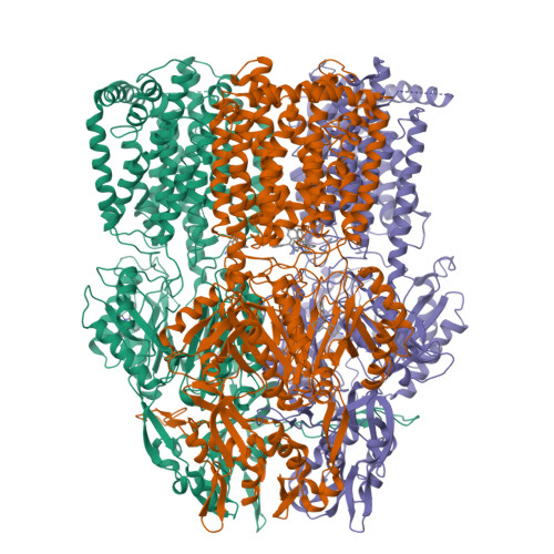 RCSB PDB - 1T9X: Structural Basis of Multidrug Transport by the AcrB ...