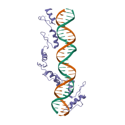 RCSB PDB - 1TF6: CO-CRYSTAL STRUCTURE OF XENOPUS TFIIIA ZINC FINGER ...