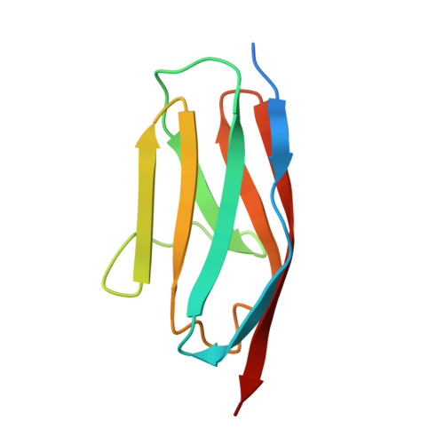 Tit2 RCSB PDB - 1TIT: TITIN, IG REPEAT 27, NMR, MINIMIZED AVERAGE STRUCTURE