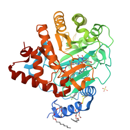 Dihydroorotate dehydrogenase (quinone), mitochondrial structure