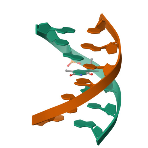 Rcsb Pdb 1u01 High Resolution Nmr Structure Of 5 Dgcgtgcg 35 Dcgcacgc 3 Trepresents A 6805