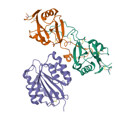RCSB PDB - 1U0O: The mouse von Willebrand Factor A1-botrocetin complex