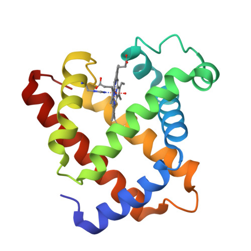 RCSB PDB - 1U7S: Crystal structure of Native Sperm Whale myoglobin from ...